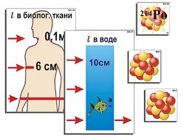 Модель-аппликация "Явление радиоактивности" (ламинированная) - fgospostavki.ru - Миасс