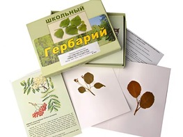 Гербарий "Систематика растений. Семейство Розоцветные" (раздаточный) - fgospostavki.ru - Миасс