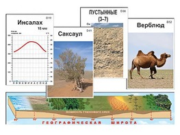 Модель-аппликация "Природные зоны" - fgospostavki.ru - Миасс