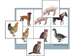 Логопедическое лото "Домашние животные" (4 планшета, 24 карточки, цветное, ламинированное) - fgospostavki.ru - Миасс