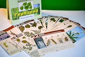 Гербарий к курсу основ общей биологии - fgospostavki.ru - Миасс