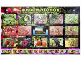 Комплект оборудования "Живой уголок" (растения) с тифлопереводом и сурдокомментариями - fgospostavki.ru - Миасс