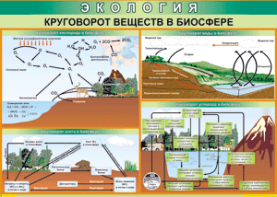 Таблица "Круговорот веществ в биосфере" (100х140 сантиметров, винил) - fgospostavki.ru - Миасс