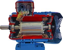 Учебная модель «Электродвигатель асинхронный в разрезе» - fgospostavki.ru - Миасс