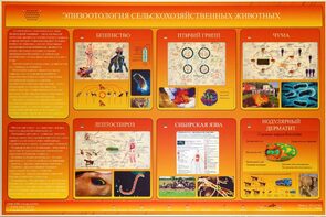 Электрифицированный стенд «Эпизоотология сельскохозяйственных животных» - fgospostavki.ru - Миасс