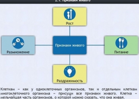 Интерактивные курсы. Биология 5 класс. Базовый - fgospostavki.ru - Миасс