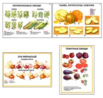 Плакаты ПРОФТЕХ "Ассортимент овощных культур" (12 пл, винил, 70х100) - fgospostavki.ru - Миасс