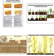 Плакаты ПРОФТЕХ "Агрономия" (5 пл, винил, 70х100) - fgospostavki.ru - Миасс