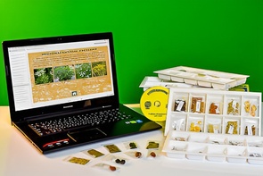 Коллекция натурально-интерактивная "Плоды сельскохозяйственных растений" - fgospostavki.ru - Миасс