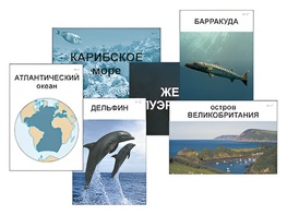 Модель-аппликация "Океаны. Знакомство" (ламинированная) - fgospostavki.ru - Миасс