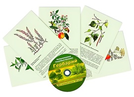 Интерактивный наглядный комплекс "Гербарий "Для начальной школы" - fgospostavki.ru - Миасс