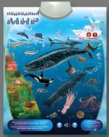Озвученный плакат "Подводный мир" - fgospostavki.ru - Миасс