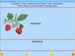 Русский язык. 1 класс. (Учебно-методический комплект) - fgospostavki.ru - Миасс