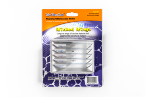 Набор микропрепаратов для микроскопа №5 «Насекомые» - fgospostavki.ru - Миасс