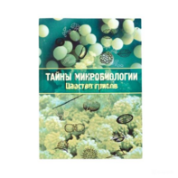 Набор «Тайны микробиологии» (Царство грибов) - fgospostavki.ru - Миасс