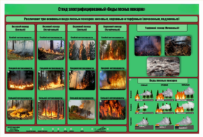 Стенд-планшет электрифицированный «Виды лесных пожаров»  - fgospostavki.ru - Миасс