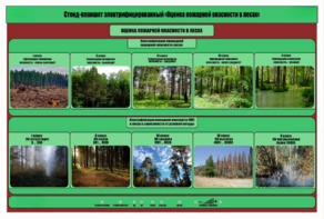 Стенд-планшет электрифицированный «Оценка пожарной опасности в лесах»  - fgospostavki.ru - Миасс