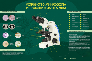 Электрифицированный стенд "Устройство микроскопа и правила работы c ним" - fgospostavki.ru - Миасс