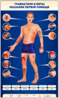 Электрифицированный стенд-тренажер "Травматизм и меры оказания первой помощи" - fgospostavki.ru - Миасс