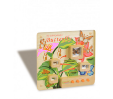 Панель «Жизненный цикл бабочки» - fgospostavki.ru - Миасс