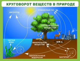 Стенд "Круговорот веществ" - fgospostavki.ru - Миасс