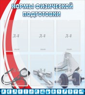 Стенд "Нормы физической подготовки" Вариант 2 - fgospostavki.ru - Миасс