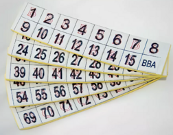 Фишки для игры «Бинго» со шрифтом Брайля - fgospostavki.ru - Миасс