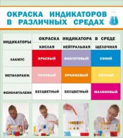 Стенд "Окраска индикаторов в различных средах" - fgospostavki.ru - Миасс